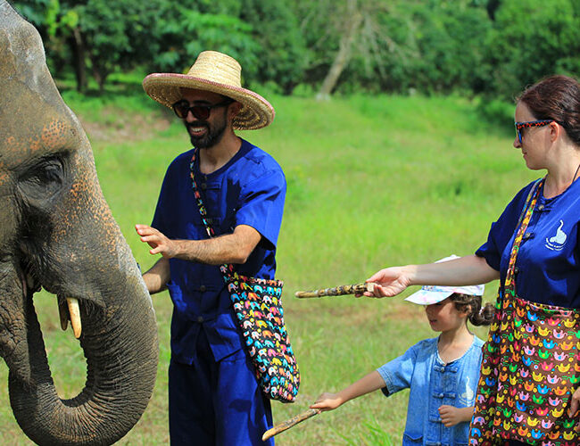 una giornata con gli elefanti al baan chang - thailandia