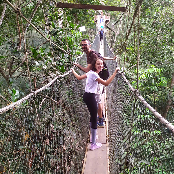 canopy walk - taman negara - malesia