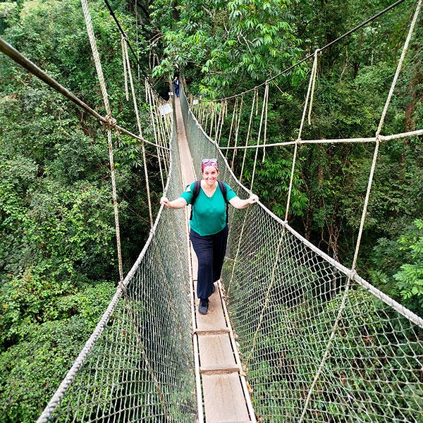 canopy walk - taman negara - malesia