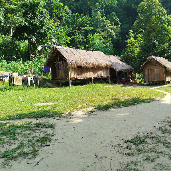 villaggio tradizionale orang aslii - taman negara - malesia