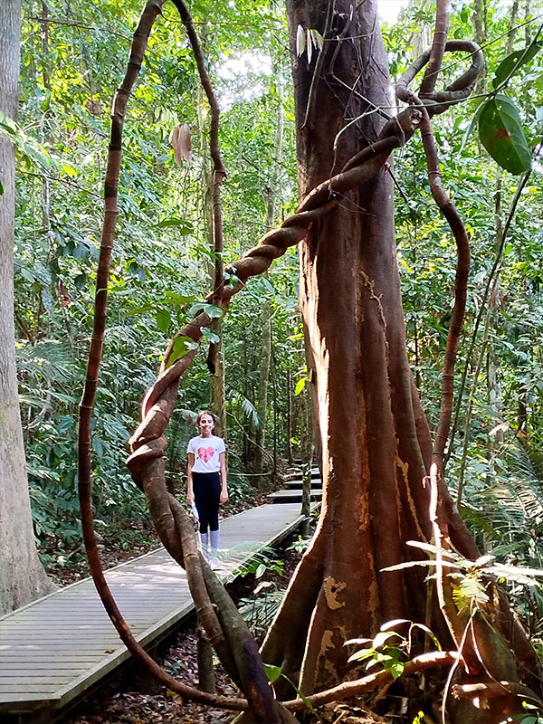 taman negara